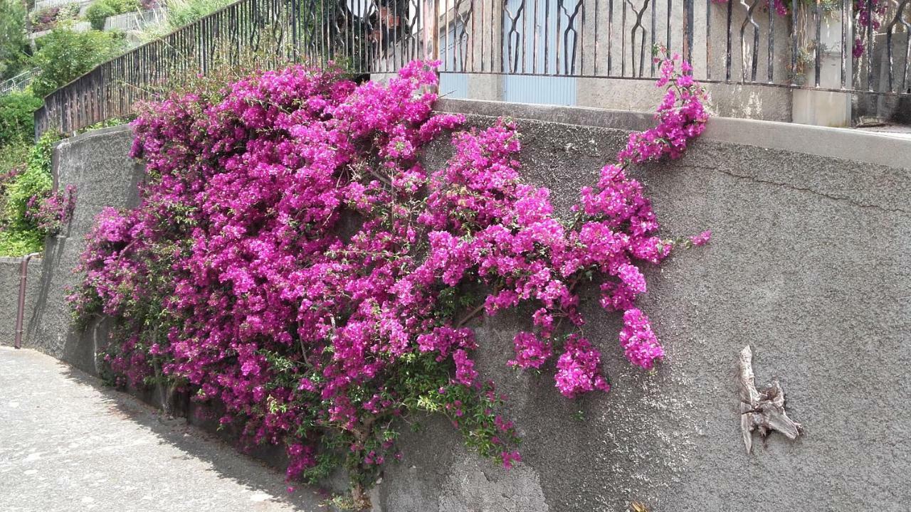 Villa Un gioiello con vista mare Moneglia Esterno foto